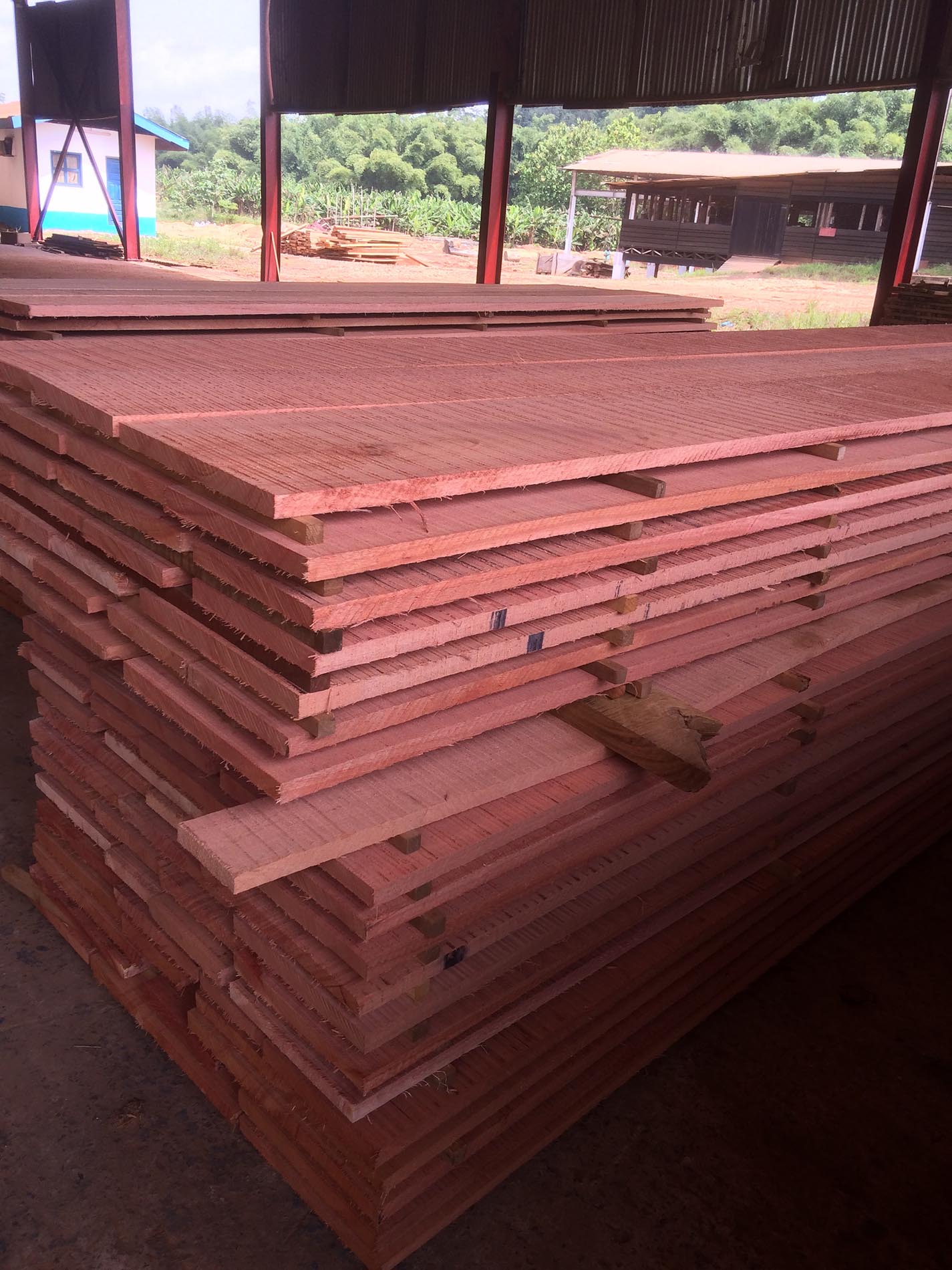 Khaya Swiss Lumber